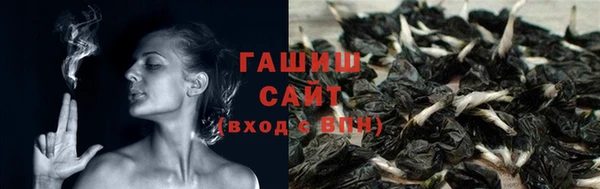 трава Белокуриха