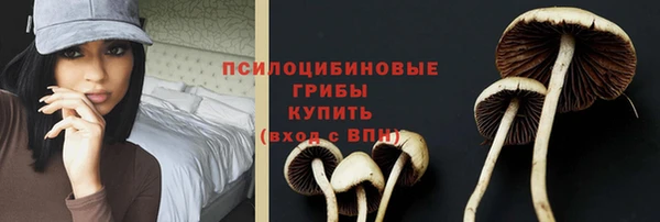 прущая мука Саяногорск